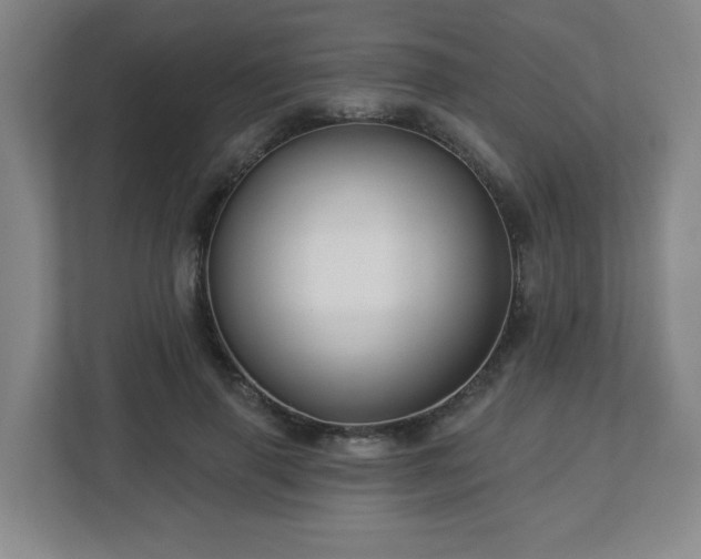 X0000113120645200909041307