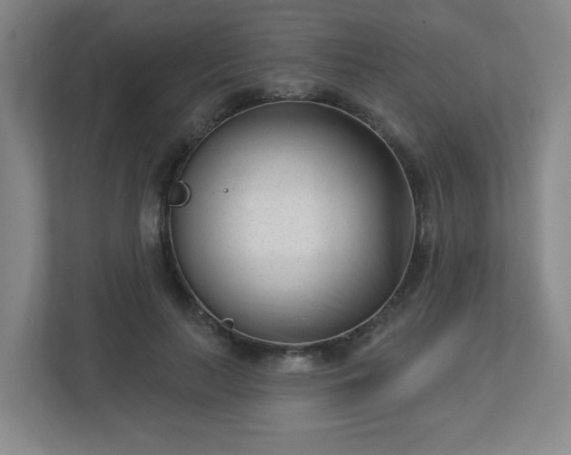 X0000113120647200909041307