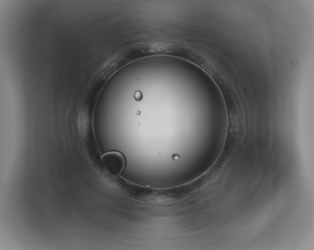 X0000113120648200909041307