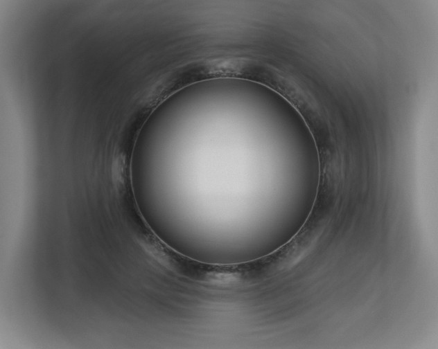 X0000113120649200909041307