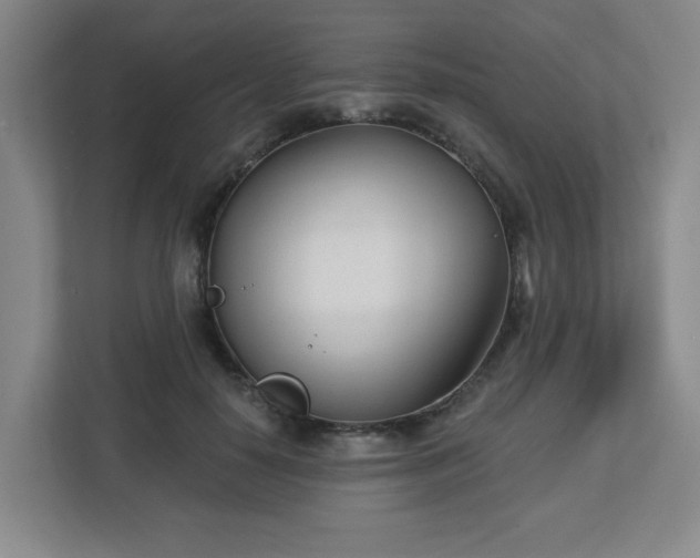 X0000113120650200909041307