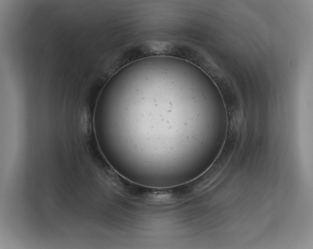 X0000113120651200909041307