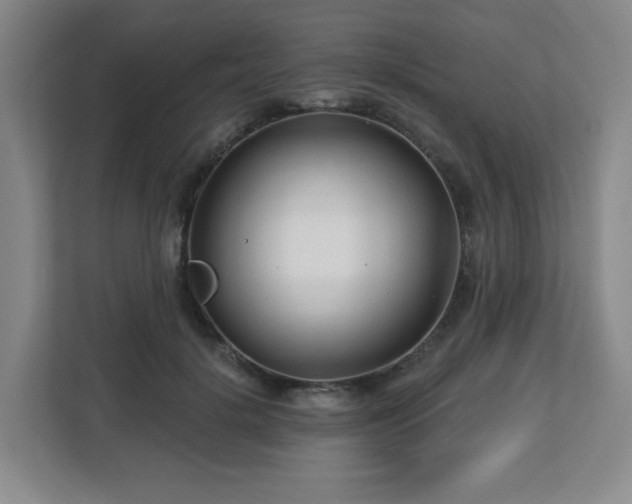 X0000113120652200909041307