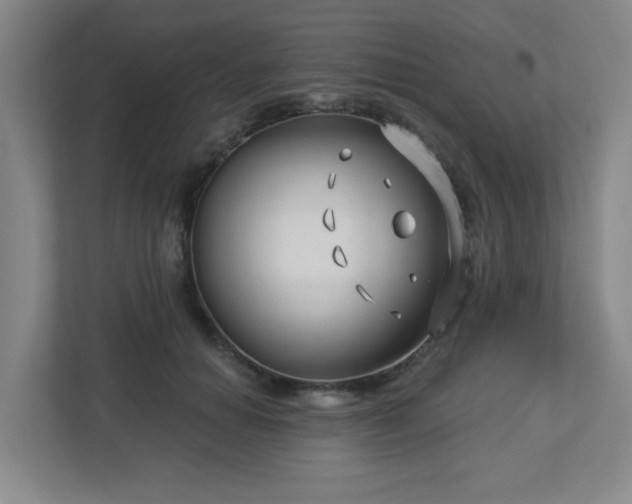 X0000113120654200909041307