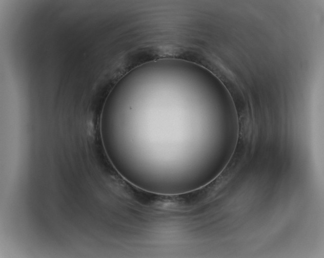 X0000113120655200909041307