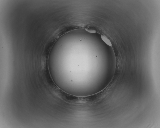 X0000113120656200909041307