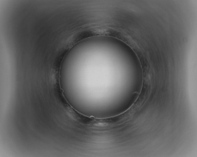 X0000113120658200909041307