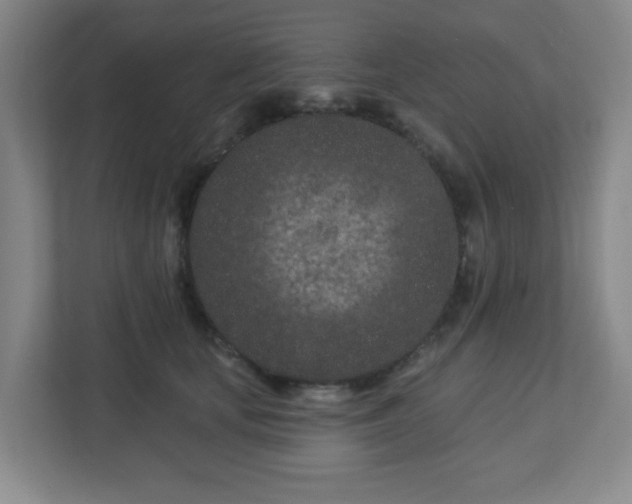 X0000113120659200909041307