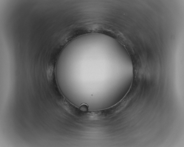 X0000113120660200909041307