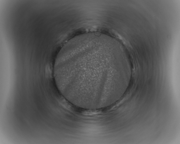 X0000113120661200909041307