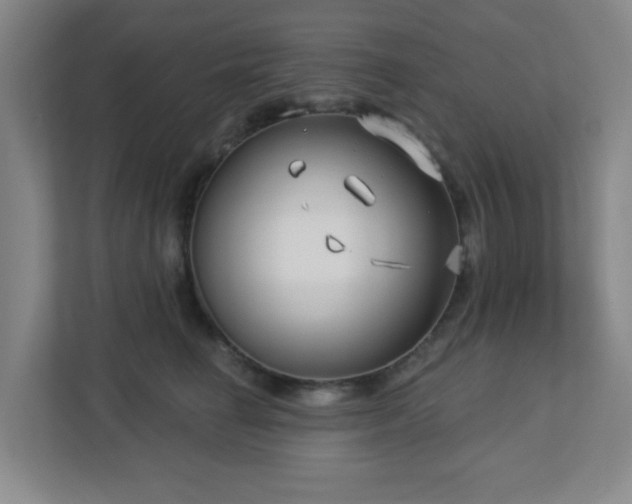 X0000113120662200909041307