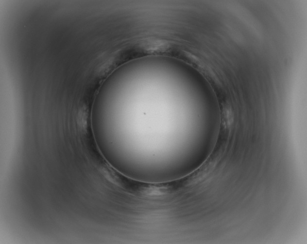 X0000113120664200909041307