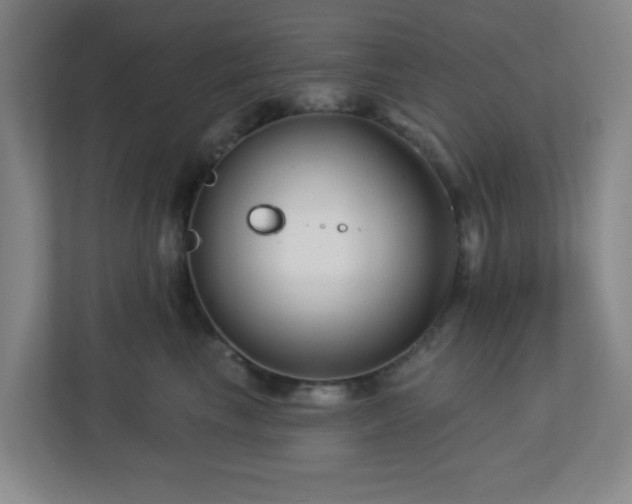 X0000113120665200909041307