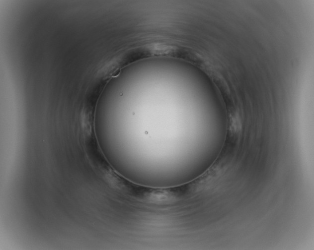 X0000113120666200909041307