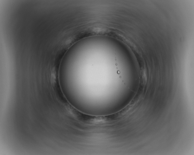 X0000113120668200909041307