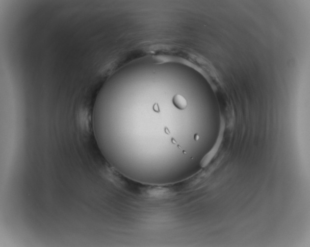 X0000113120669200909041307