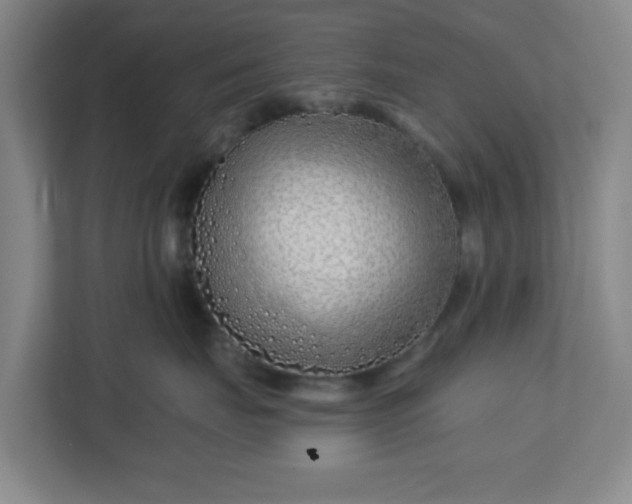 X0000113120671200909041307