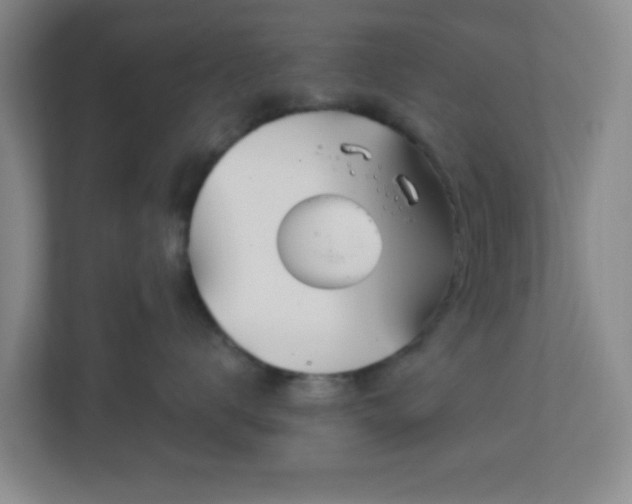 X0000113120672200909041307