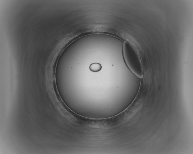 X0000113120673200909041306