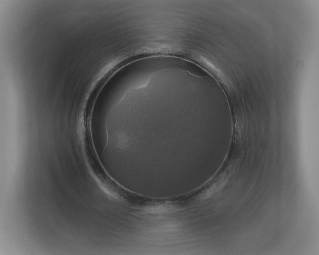 X0000113120674200909041306