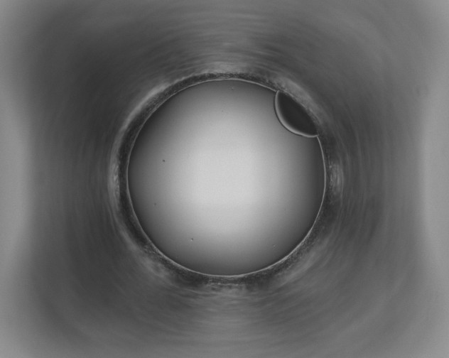 X0000113120676200909041306