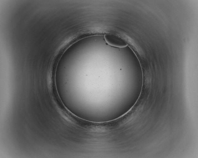 X0000113120677200909041306