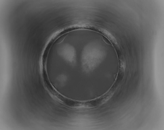 X0000113120678200909041306