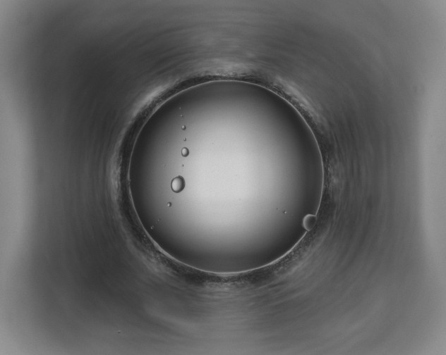 X0000113120679200909041306