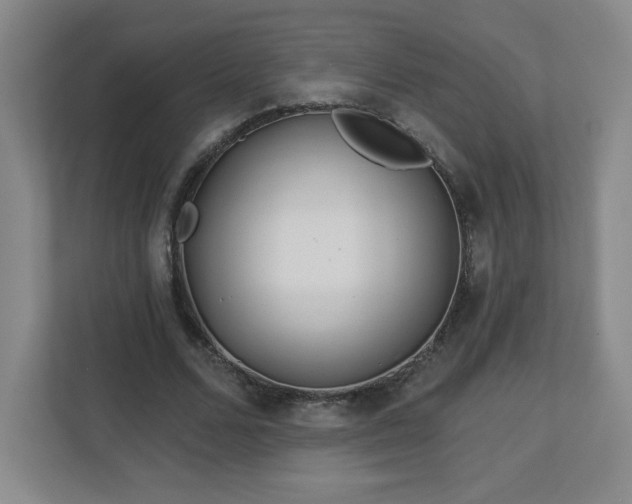 X0000113120680200909041306