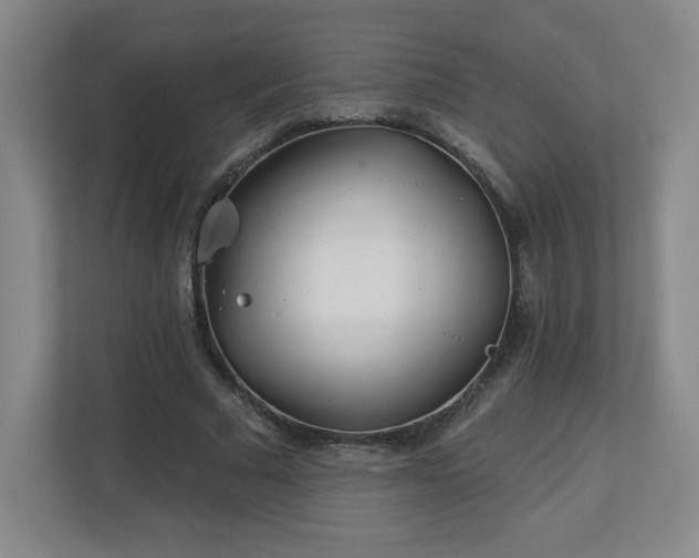 X0000113120681200909041306