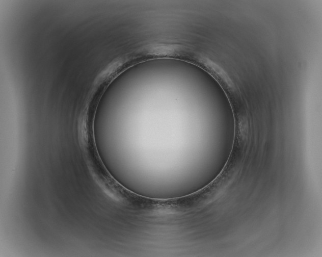 X0000113120682200909041306