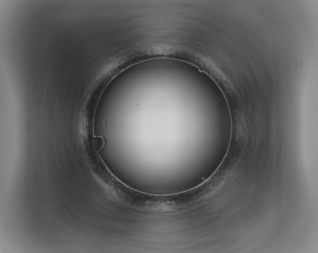 X0000113120683200909041306