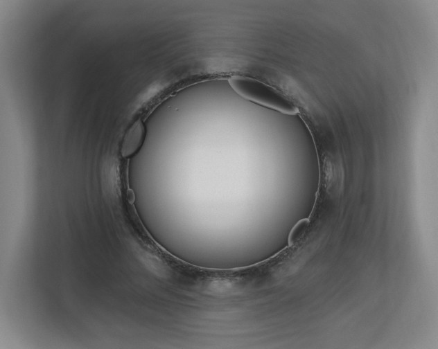 X0000113120684200909041306