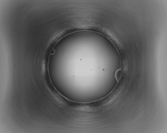 X0000113120685200909041306