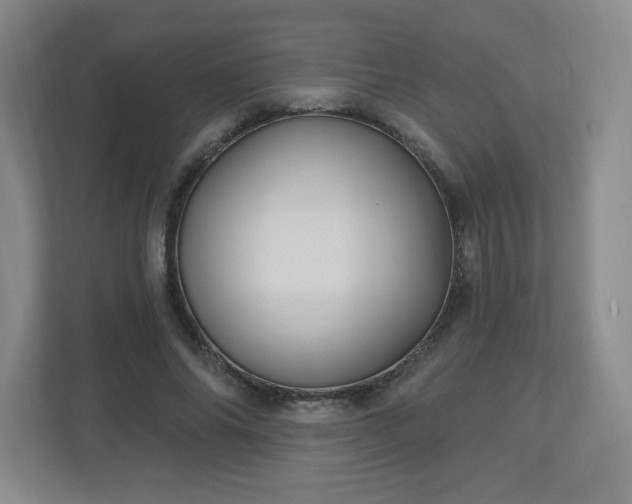 X0000113120686200909041306