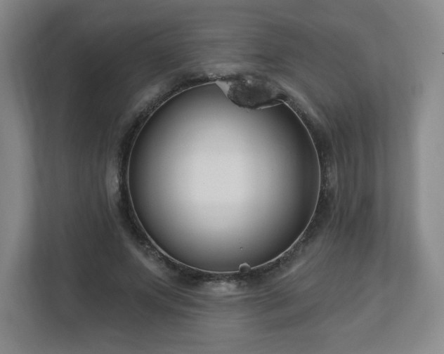 X0000113120687200909041306