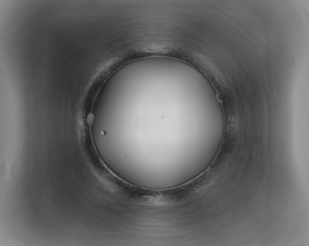 X0000113120688200909041306