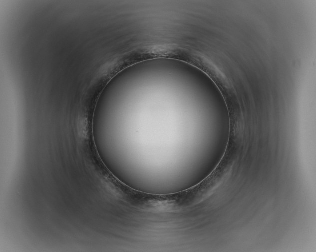 X0000113120689200909041306