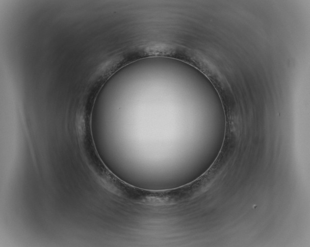 X0000113120690200909041306