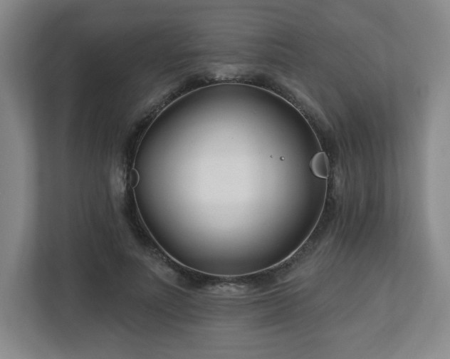 X0000113120691200909041306