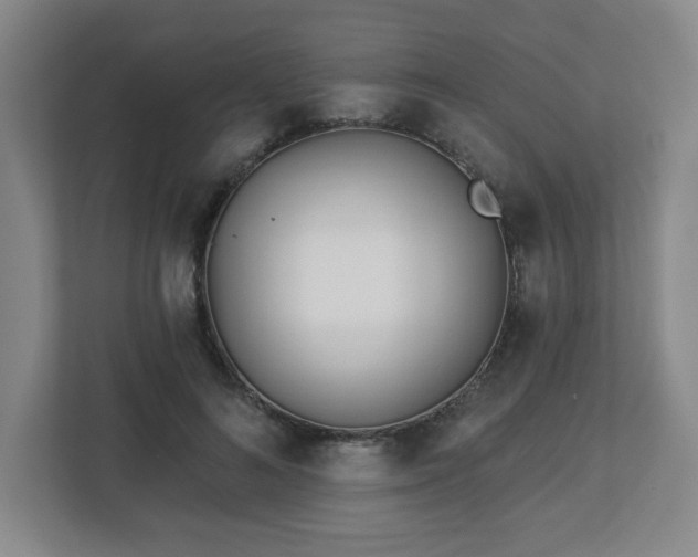 X0000113120692200909041306