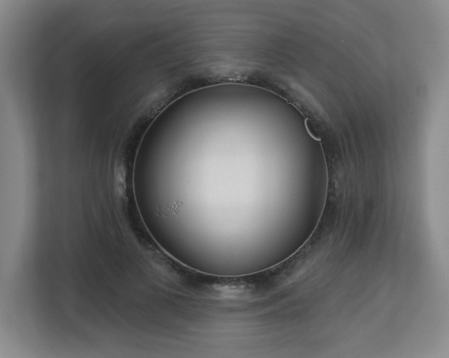 X0000113120693200909041306