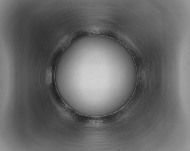 X0000113120694200909041306