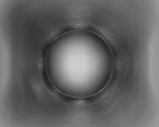 X0000113120695200909041306