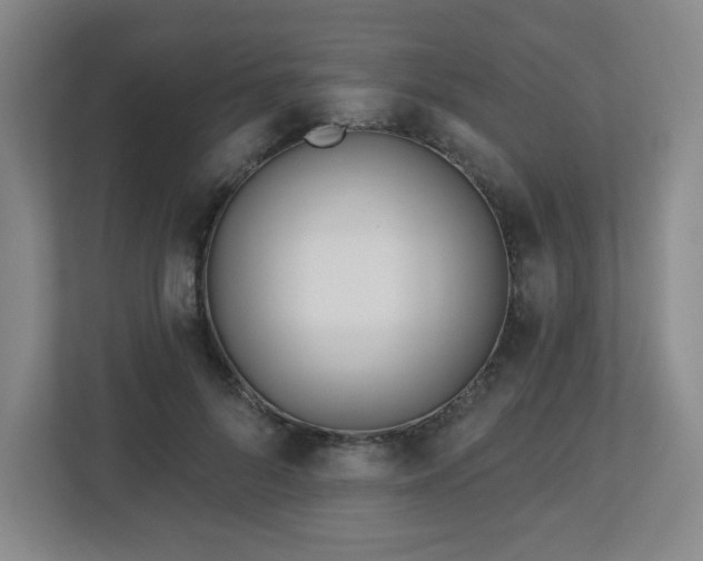 X0000113120696200909041306