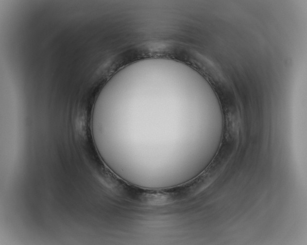 X0000113120698200909041306