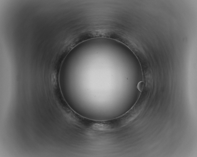 X0000113120699200909041306