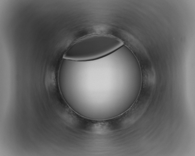 X0000113120700200909041306