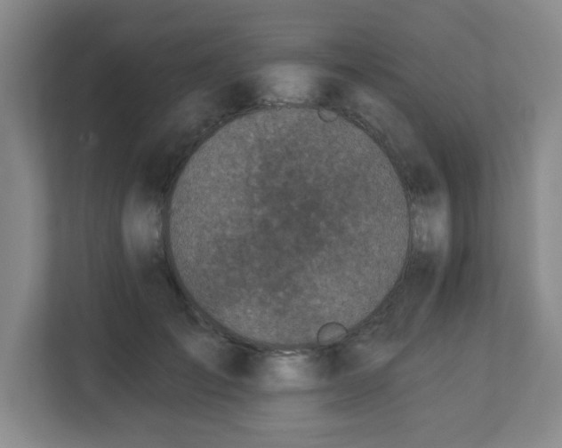 X0000113120701200909041306