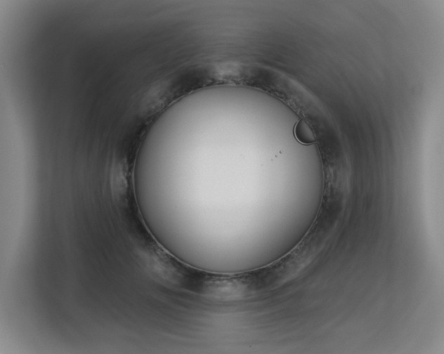 X0000113120702200909041306